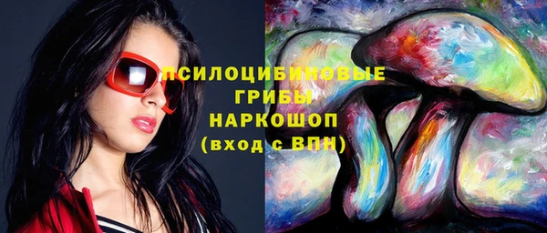 эйфоретик Белокуриха