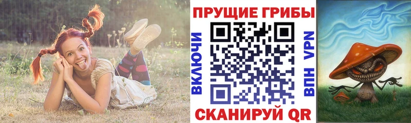 Галлюциногенные грибы мухоморы  Кремёнки 